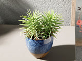 Pine Céramique Fleur Artificielle En Pot 12x12x16cm Bleu - Vert