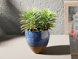 Pine Céramique Fleur Artificielle En Pot 12x12x16cm Bleu - Vert