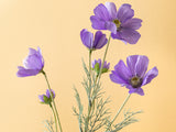 Fleur Artificielle, Daisy, 62cm Violet